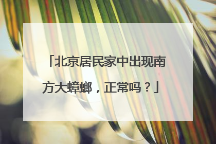 北京居民家中出现南方大蟑螂，正常吗？