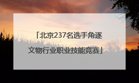 北京237名选手角逐文物行业职业技能竞赛