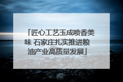匠心工艺玉成喷香美味 石家庄扎实推进粮油产业高质量发展