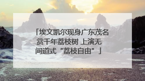 埃文凯尔现身广东茂名 赏千年荔枝树 上演无间道式“荔枝自由”