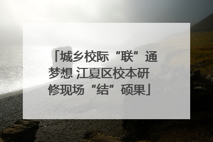 城乡校际“联”通梦想 江夏区校本研修现场“结”硕果