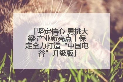 坚定信心 勇挑大梁·产业新亮点丨保定全力打造“中国电谷”升级版