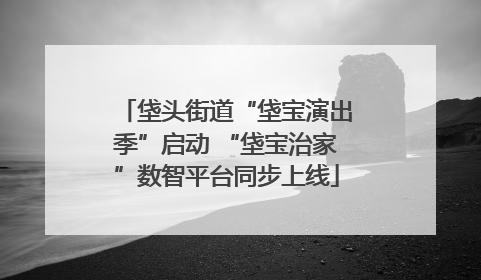 垡头街道“垡宝演出季”启动 “垡宝治家”数智平台同步上线