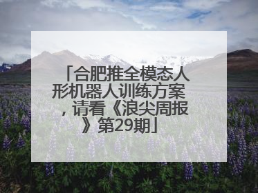 合肥推全模态人形机器人训练方案，请看《浪尖周报》第29期