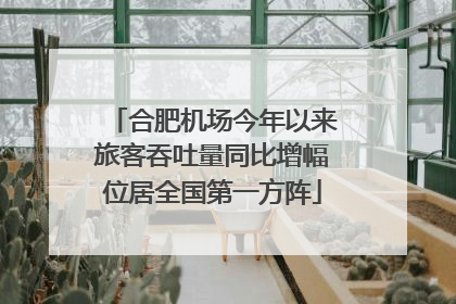 合肥机场今年以来旅客吞吐量同比增幅位居全国第一方阵