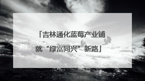 吉林通化蓝莓产业铺就“绿富同兴”新路