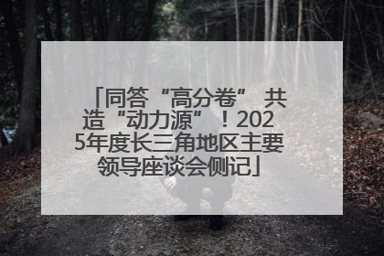 同答“高分卷” 共造“动力源”！2025年度长三角地区主要领导座谈会侧记