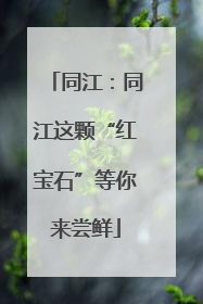 同江：同江这颗“红宝石”等你来尝鲜