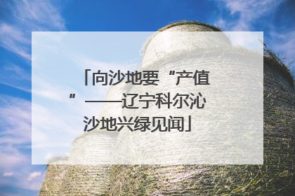 向沙地要“产值”——辽宁科尔沁沙地兴绿见闻