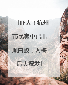 吓人！杭州市民家中已出现白蚁，入梅后大爆发