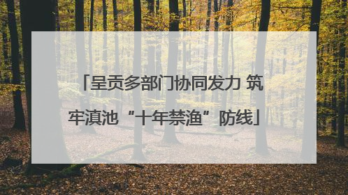 呈贡多部门协同发力 筑牢滇池“十年禁渔”防线
