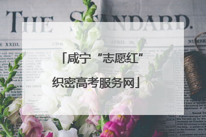 咸宁“志愿红”织密高考服务网