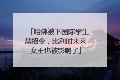 哈佛被下国际学生禁招令，比利时未来女王也被影响了