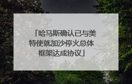 哈马斯确认已与美特使就加沙停火总体框架达成协议