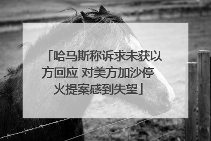 哈马斯称诉求未获以方回应 对美方加沙停火提案感到失望