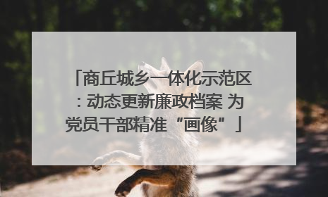 商丘城乡一体化示范区：动态更新廉政档案 为党员干部精准“画像”