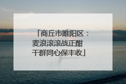 商丘市睢阳区：麦浪滚滚战正酣 干群同心保丰收
