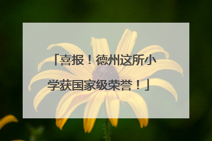 喜报！德州这所小学获国家级荣誉！