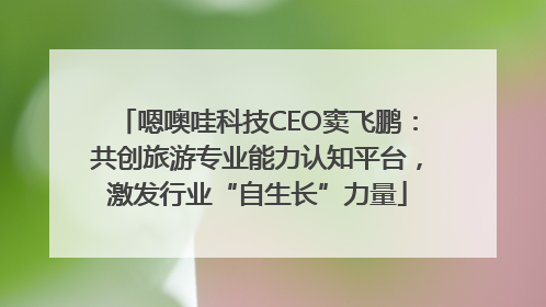 嗯噢哇科技CEO窦飞鹏：共创旅游专业能力认知平台，激发行业“自生长”力量