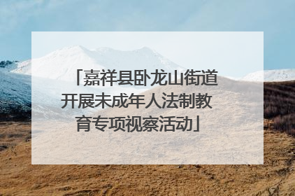 嘉祥县卧龙山街道开展未成年人法制教育专项视察活动