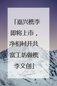嘉兴槜李即将上市，净相村开共富工坊做槜李文创