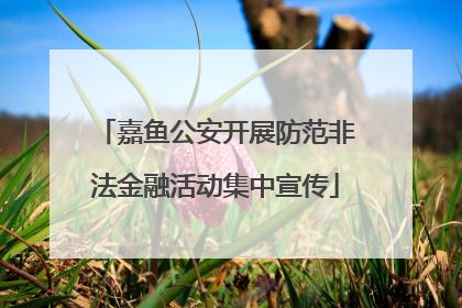 嘉鱼公安开展防范非法金融活动集中宣传