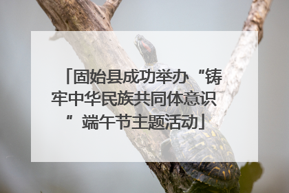 固始县成功举办“铸牢中华民族共同体意识”端午节主题活动