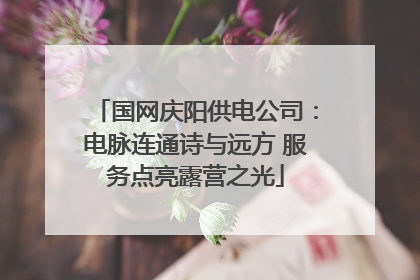 国网庆阳供电公司：电脉连通诗与远方 服务点亮露营之光