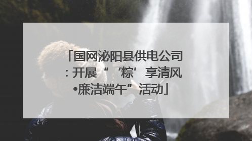 国网泌阳县供电公司：开展“‘粽’享清风 •廉洁端午”活动