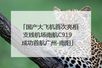 国产大飞机首次亮相支线机场南航C919成功首航广州-南阳