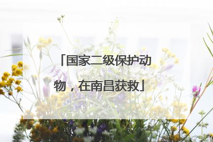 国家二级保护动物，在南昌获救