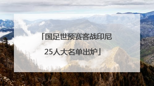 国足世预赛客战印尼25人大名单出炉
