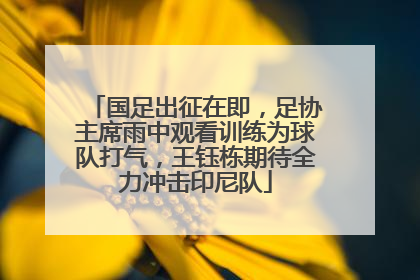 国足出征在即，足协主席雨中观看训练为球队打气，王钰栋期待全力冲击印尼队