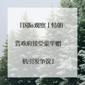 国际观察丨特朗普政府接受豪华赠机引发争议