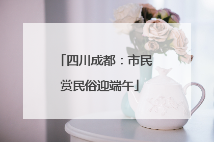 四川成都：市民赏民俗迎端午