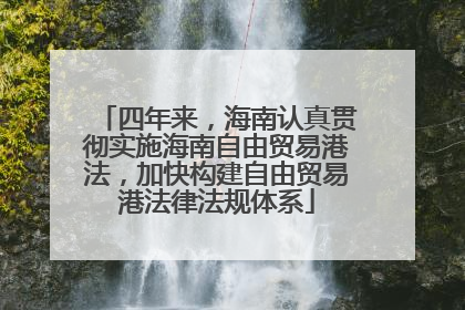 四年来，海南认真贯彻实施海南自由贸易港法，加快构建自由贸易港法律法规体系