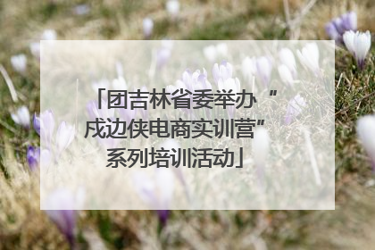 团吉林省委举办“戍边侠电商实训营”系列培训活动