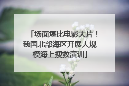场面堪比电影大片！我国北部海区开展大规模海上搜救演训