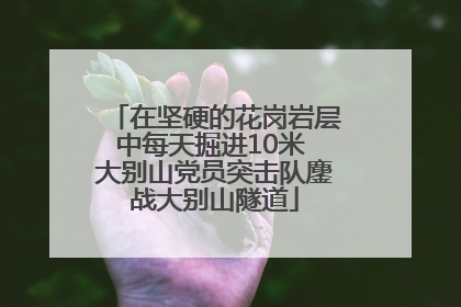 在坚硬的花岗岩层中每天掘进10米 大别山党员突击队鏖战大别山隧道