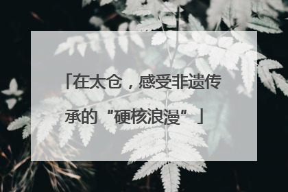 在太仓，感受非遗传承的“硬核浪漫”