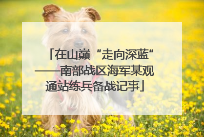 在山巅“走向深蓝”——南部战区海军某观通站练兵备战记事