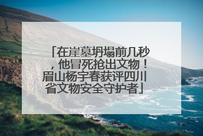 在崖墓坍塌前几秒，他冒死抢出文物！眉山杨宇春获评四川省文物安全守护者