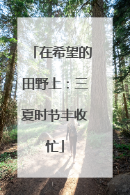 在希望的田野上：三夏时节丰收忙