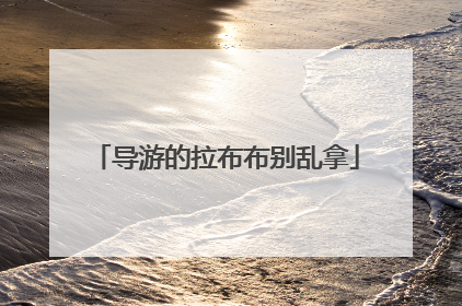 导游的拉布布别乱拿