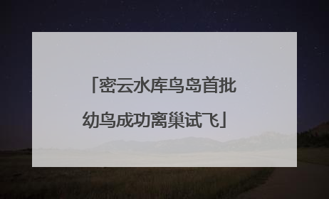 密云水库鸟岛首批幼鸟成功离巢试飞