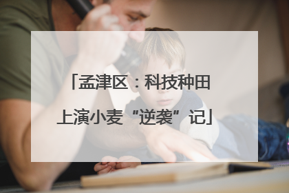 孟津区：科技种田 上演小麦“逆袭”记
