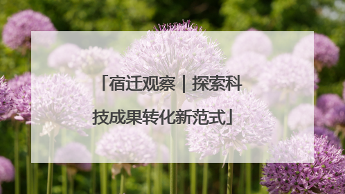 宿迁观察｜探索科技成果转化新范式