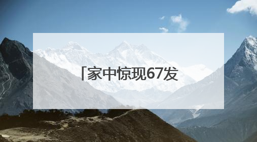 家中惊现67发子弹，遂宁两兄弟主动来到派出所