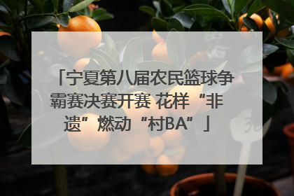宁夏第八届农民篮球争霸赛决赛开赛 花样“非遗”燃动“村BA”
