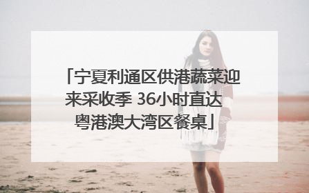 宁夏利通区供港蔬菜迎来采收季 36小时直达粤港澳大湾区餐桌